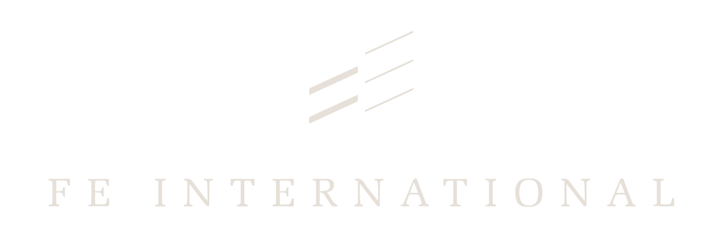 FE International
